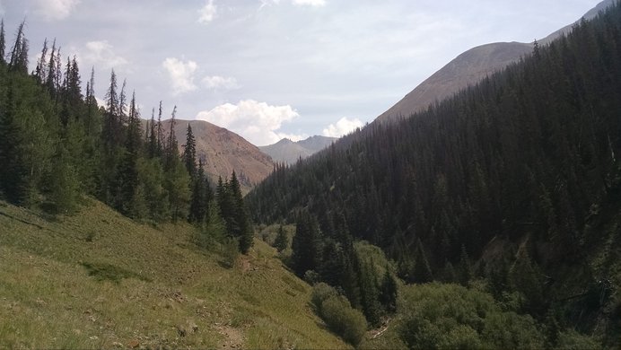 Looking back down the trail along Silver Creek