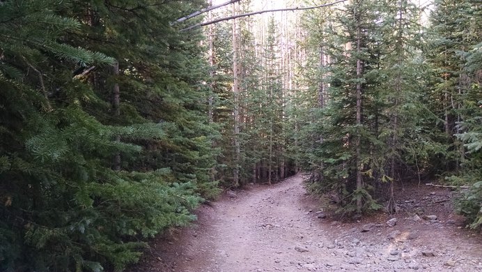 The rocky road leading to the upper Matterhorn Creek Trailhead